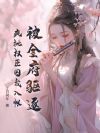 被全府驱逐,疯批权臣囚我入帐