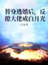 替身逃婚后,反撩大佬成白月光