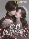徐总,他超好哄!