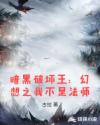 暗黑破坏王:幻想之我不是法师