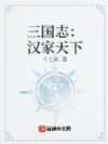 三国志:汉家天下