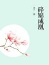 碎锦成凰
